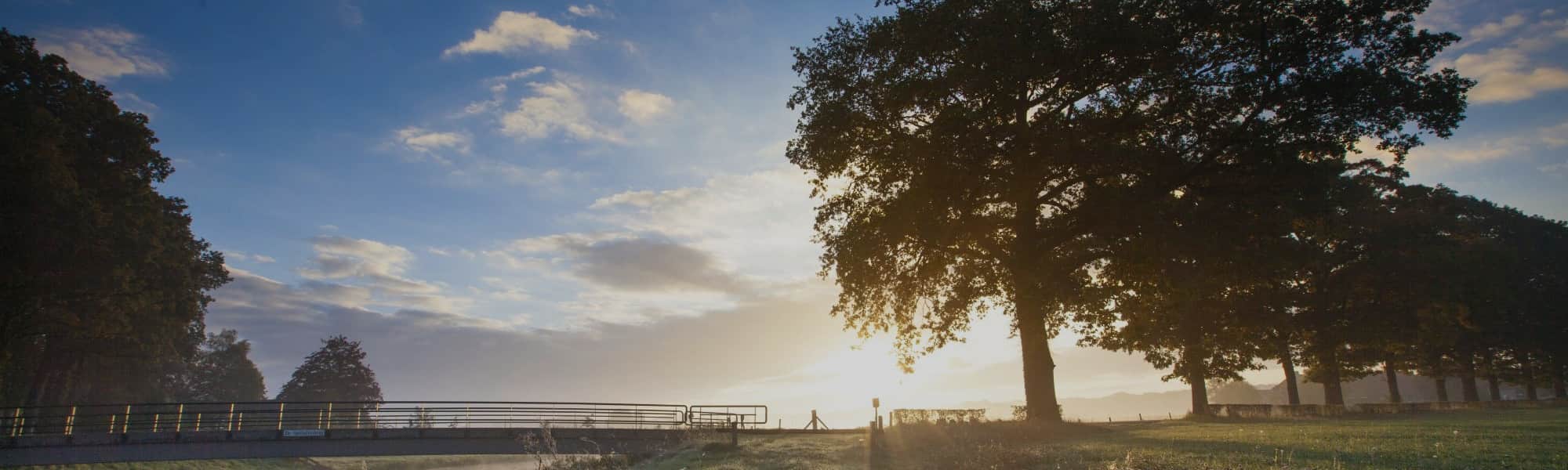 Header afbeelding
